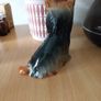 Vintage SylvaC Yorkshire Terrier Figurine, Model 5027, Made in England Image 2