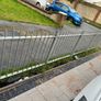 garden Image 2