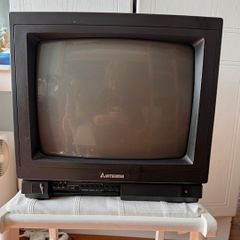 Portable TV