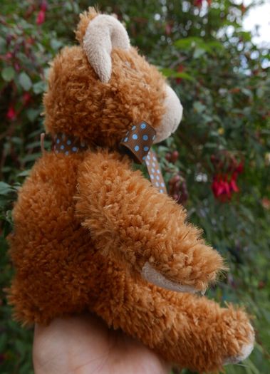 Vintage Teddy Bear