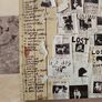 Pearl Jam 2CD  - Lost Dogs Image 2