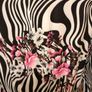 Women's Dress Nwot Size 16 Image 5