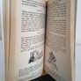 The Comic History of Ireland by Edward J. Delaney and John M. Feehan. Illustrated by Jerome Sullivan (GT981) Image 5