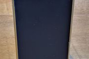 Double Blackboard Bird Gold