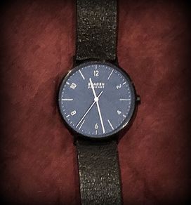 Skagen Men's Watch