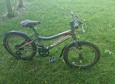 20" Bike