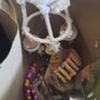 Hamster/Bird Cage Image 5