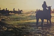 Foals - Holy Fire.