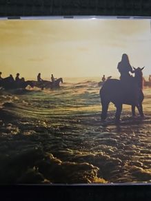 Foals - Holy Fire.