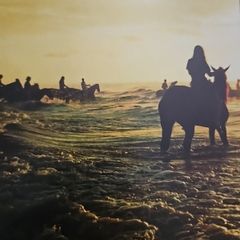 Foals - Holy Fire.