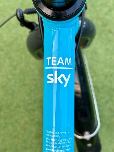 Team Sky Frog 62 kids bike