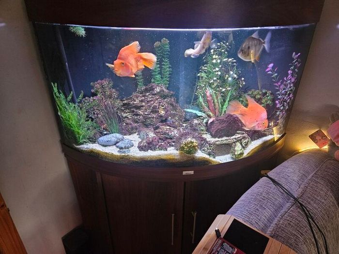 Aquarium