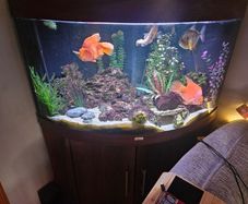 Aquarium