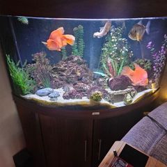 Aquarium