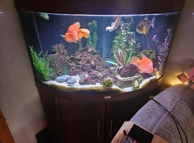 Aquarium