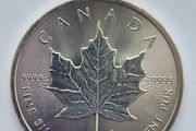 1 oz Canadian Maple Leaf Silver Bullion Coins