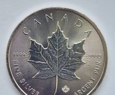 1 oz Canadian Maple Leaf Silver Bullion Coins