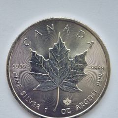 1 oz Canadian Maple Leaf Silver Bullion Coins
