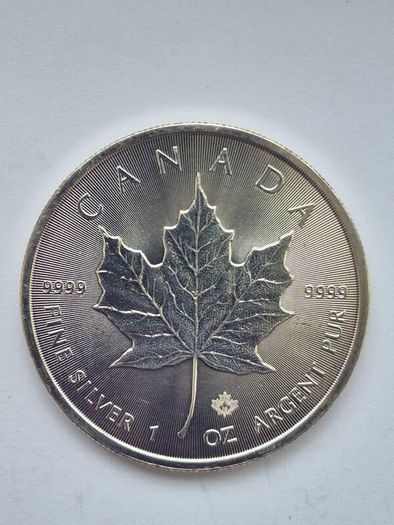 1 oz Canadian Maple Leaf Silver Bullion Coins