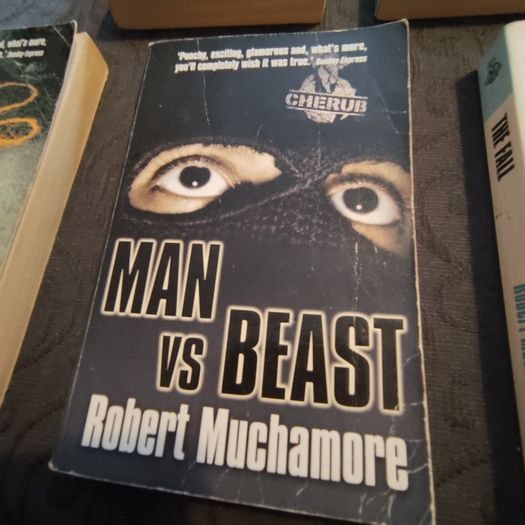 Robert Muchamore novels job lot