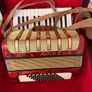 Accordions-Homer & Parrot piano accordions Image 3