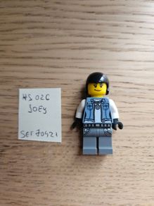 lego hs026 joey, set 70421