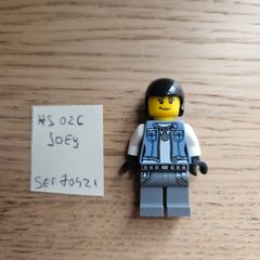 lego hs026 joey, set 70421