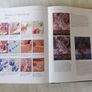 The essential Painting Guide - BOOK Image 6