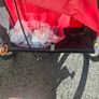 Running /Bike buggie /wagon Image 9