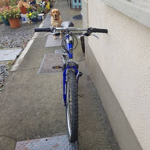 magna ascent 26" wheel bike