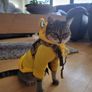 Adjustable Pet Harness (S-M) Cat / Small Dog. Camouflage Image 5