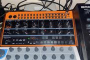 Behringer Crave Synth