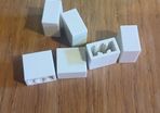 AMPEG SVT II Push Button Switch Caps