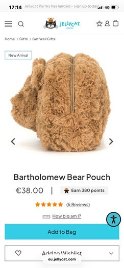 New JELLYCAT Bartholomew Bear Pouch