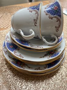 11 Piece Fine Porcelain China Set