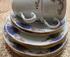 11 Piece Fine Porcelain China Set