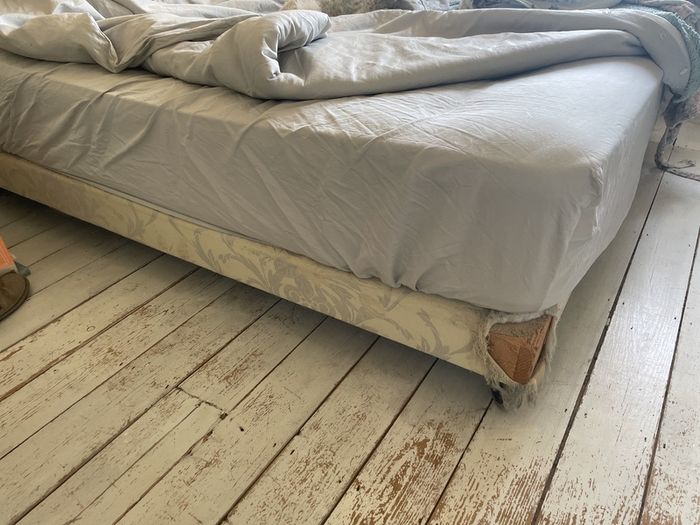 bedbase king