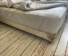 bedbase king
