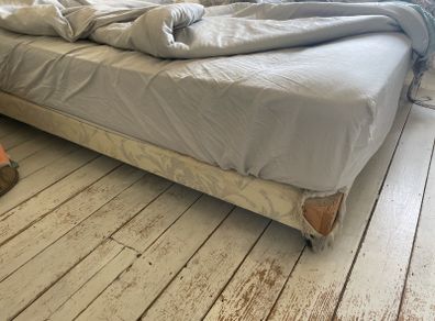 bedbase king