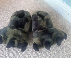 slippers kids dinosaur feet