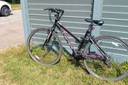 ladies/teenagers bike Juniper Tuscan