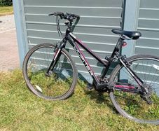 ladies/teenagers bike Juniper Tuscan