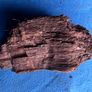 4 small pieces of bog oak Image 4