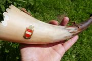 Vintage Hunting Horn 12"