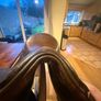 Gorgeous 17 Fox Saddle Image 6