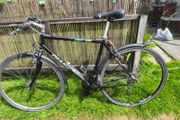Giant bike