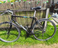 Giant bike
