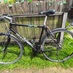 Giant bike