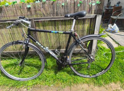 Giant bike