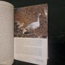 The Life of Birds by Sir David Attenborough (Hardcover, 1998) Image 7